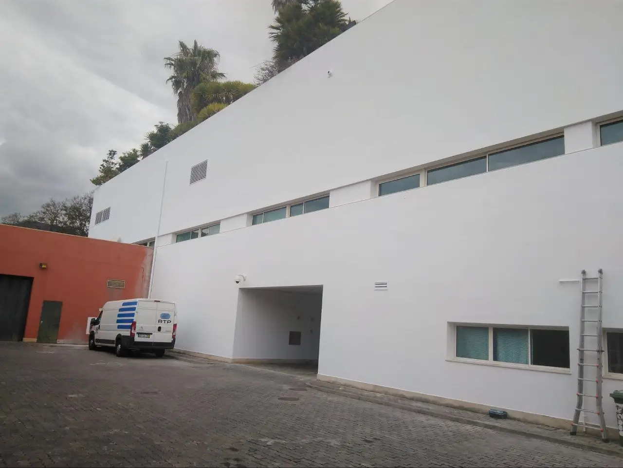 rtpmadeira_pintura_franciscosaleao_01