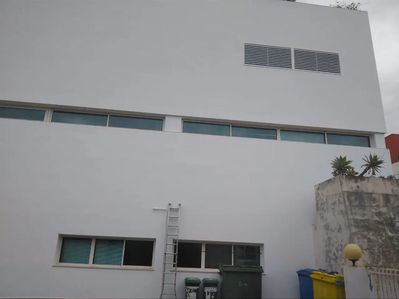 rtpmadeira_pintura_franciscosaleao_02