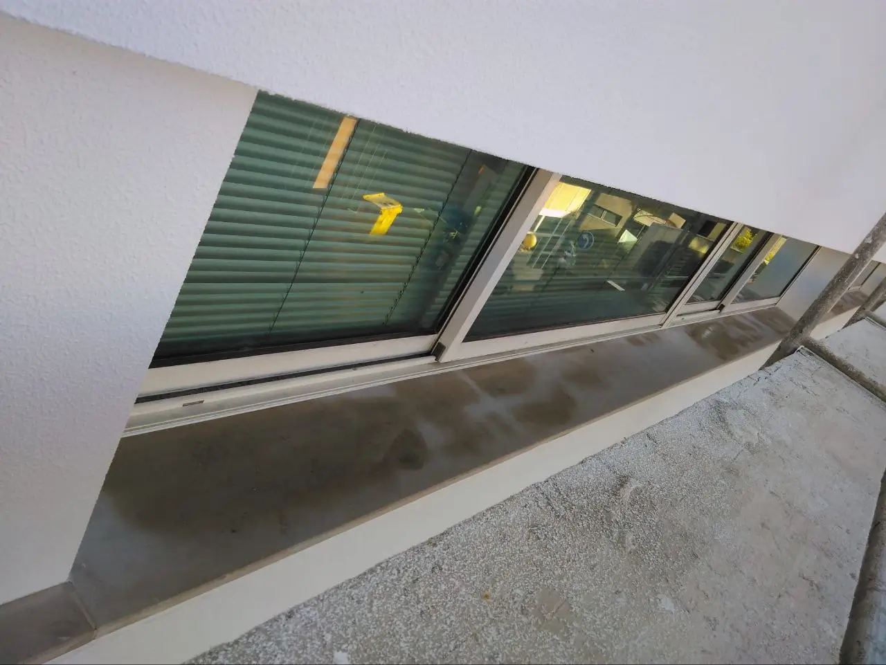 rtpmadeira_pintura_franciscosaleao_03