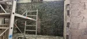 franciscosaleao-quinta_humberto_processo_11